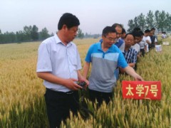 专家风采,沈丘县乡村农业局,沈丘县农业乡村局