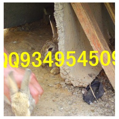 汉中农村特种养殖供应