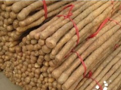 槐山药,沈丘县乡村农业局,沈丘县农业乡村局