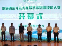 “恩施硒茶”斗茶竞技搅热硒都