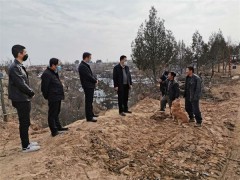 延川：大禹街道农村人居环境整治不松劲