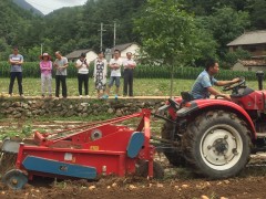 丹凤：机械化助力丹凤马铃薯喜获歉收