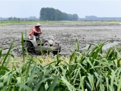 创立新形式 种养获高效