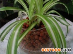 崇左陶粒实打实的足方量 谊诚陶粒厂自产自销 优惠大