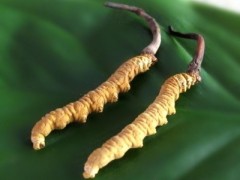 盘锦回收连体人民币专业正规公司回收