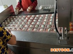 咸鸭蛋连续式包装机生产线