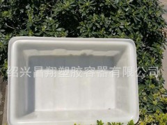 泥鳅桶 50L加厚牛筋箱 水产市场卖泥鳅箱 乌龟养殖桶食品级加厚