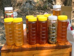 直销 蜂蜜 野生蜂蜜 野生土蜂蜜 土蜂蜜