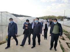 鹰潭市农业农村粮食局防控新型冠状病毒感染的肺炎疫情2月24日义务日报