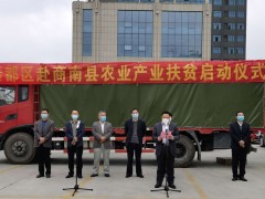 商南：不远千里送苗木 产业帮扶心意深