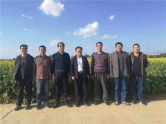 省农科院樊廷录处长检查指导平凉市农科院工作