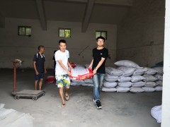 省市联动送种下乡，助力灾后恢复生产