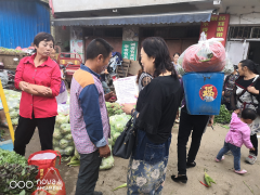 六盘水市钟山区农业乡村局展开蔬菜产销状况调研任务农业