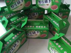 【承德特产】野生榛子  大榛子 野生榛子价格  野生榛子厂家   野生榛子价格 优质野生榛子