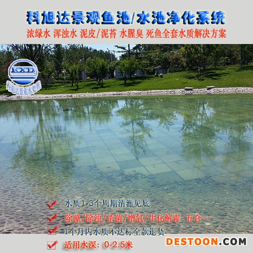鱼塘净水方法,科旭达观赏鱼鱼池净化东莞别墅观赏池水质净化鱼池生物净化系统