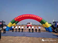 全省夏玉米籽粒直收现场演示会在潍坊市召开