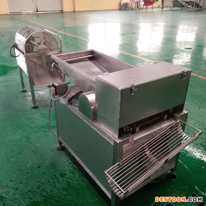 【鼎力】DL 鹌鹑蛋剥壳机价格 山东老品牌鹌鹑蛋剥壳机  鹌鹑蛋剥壳机厂家直销