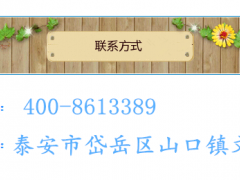 循环流化床锅炉煮扇贝燃气蒸汽锅炉-厂家直销全自动真空热水锅炉