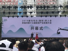 贵阳市组团赴都匀参加2019都匀毛尖（国际）茶人会