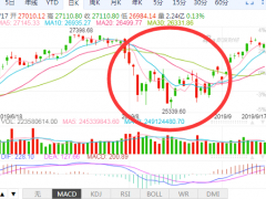 【独家】风雨飘摇下的豆油价格何去何从