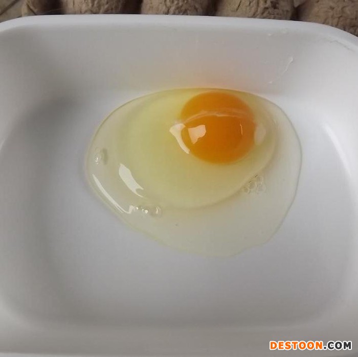 随州众鑫低价供应散养土鸡蛋、绿壳鸡蛋、笨鸡蛋、草鸡蛋  包邮批发