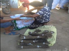 知了猴技术培训-淼源金蝉(在线咨询)-知了猴