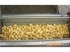 常年莲藕清洗机  莲藕脱皮清洗机  洋芋脱皮清洗机  质量好价格低