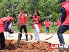 攸县：美丽村庄名不虚 春造花木近万株