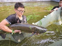 引来活泉水 小窝养大鱼