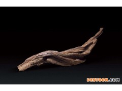 为什么现在印度沉香老料这么贵