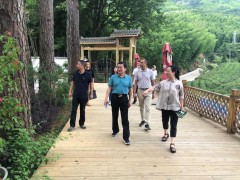 晋中市委乡村复兴办主任、晋中市农业农村局局长徐春晖带队调研乡村复兴亮点示范带树立情况