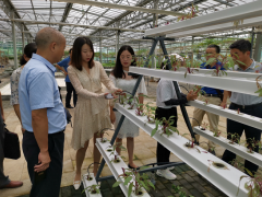 学先进 促协作，助力人才培育