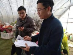 鹰潭市农粮局真实做好春节元旦时期农产质量量安全监管义务