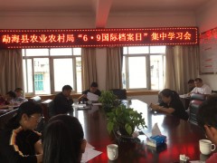 勐海县农业农村局扎实展开2020年国际档案日宣传活动