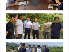 省农业农村厅农田树立管理处指点在我晋中市调研高标准农田树立进展情况