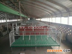恒泰农牧设备值得信赖(图)-母猪产床厂家-洛阳母猪产床