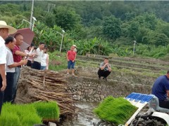 上杭县举行山垅田水稻消费新机具推行演示会