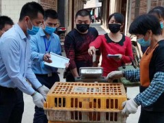 尽管种养不愁卖 农户增收乐陶陶——浦北疏通销售渠道助力脱贫攻坚见闻