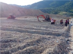 龙岩：扎实推进“稳稻谷扩旱粮”义务