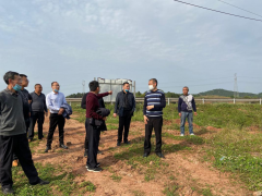 市农业农村局指点高新区现代农业园区树立义务