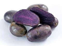 黑土豆种植新技术|土豆追肥技术