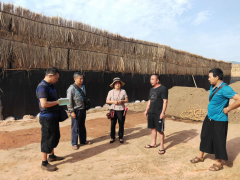 着力推进山区食用菌产业开展——助力脱贫攻坚