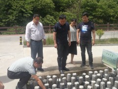 省农监局副局长徐长林深化柞水反省食用农产品合格证制度实施义务