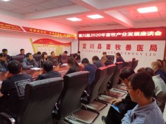宜川：县畜牧兽医效力中心组织召开全县畜牧产业展开义务座谈会