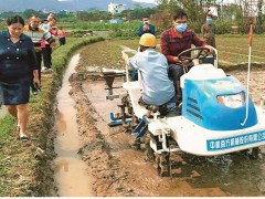 未老先衰造“神器” ——记灵山县新圩镇农民创造家李琼进