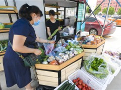 河北永清：便民“直超车”守护居民“菜篮子”