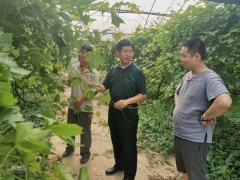 晋中市果树创新团队首席专家指点设备葡萄消费