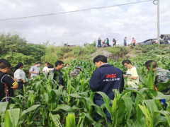 县植保站到格朗和乡展开草地贪夜蛾防控技术培训会