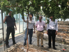 晋中市园艺站受邀赴盐城国胜葡萄种植专业协作社学习交流