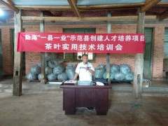 勐遮镇举行“一县一业”示范县创立人才培育项目茶叶适用技术培训会